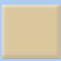 Beige vinyl paint color